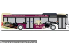 Rietze Mercedes Citaro, 2012, Mecklenburgische3 Bäderbahn Molli, 1:87, Best